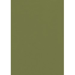 FAMOSKIN OLIVE GREEN