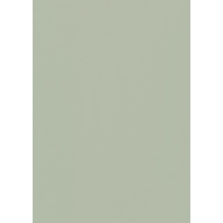 FAMOSKIN AQUALITE