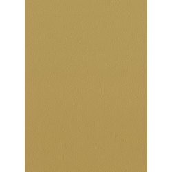 FAMOSKIN GOLDEN SAND