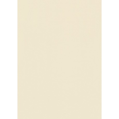 FAMOSKIN PORCELAIN
