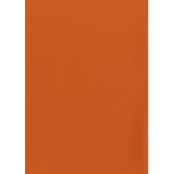 FAMOSKIN ORANGE