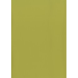 FAMOSKIN LIME GREEN