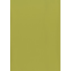 FAMOSKIN LIME GREEN