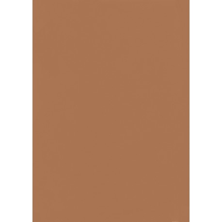 FAMOSKIN CINNAMON
