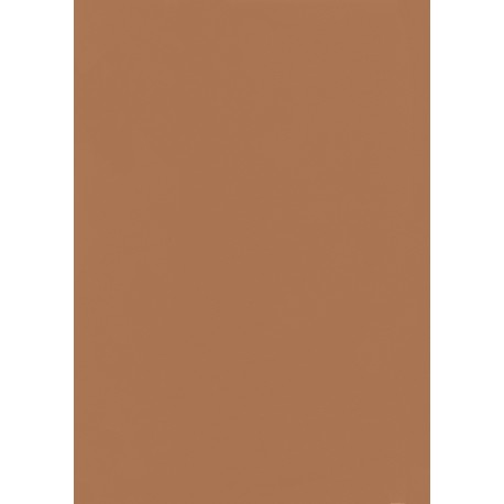 FAMOSKIN CINNAMON